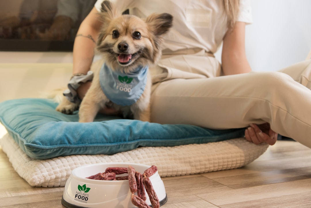 How Long Does Fresh Dog Food Last? Refrigerator, Freezer, and Room Temperature Rules